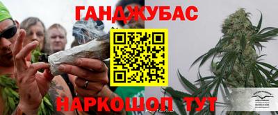 PSILOCYBIN Новозыбков