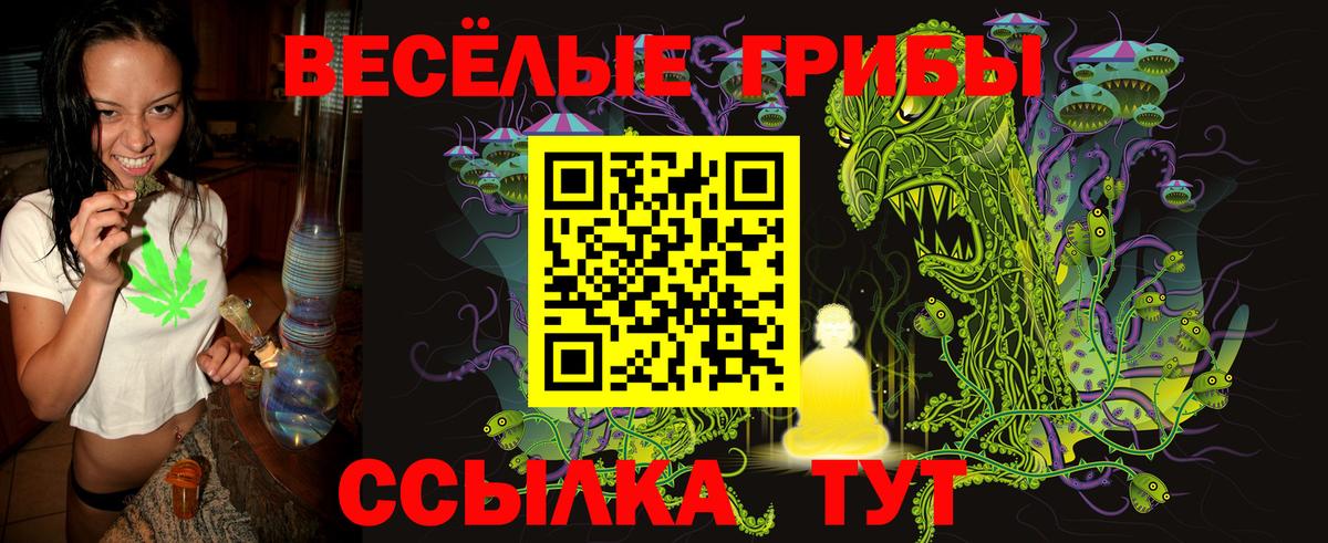 Галлюциногенные грибы прущие грибы Тулун