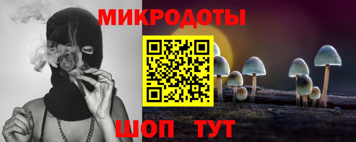 Псилоцибиновые грибы прущие грибы  Псилоцибиновые грибы мицелий  Тулун  Вход с VPN 